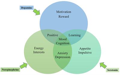 Emotional Roles of Mono-Aminergic Neurotransmitters in Major Depressive Disorder and Anxiety Disorders